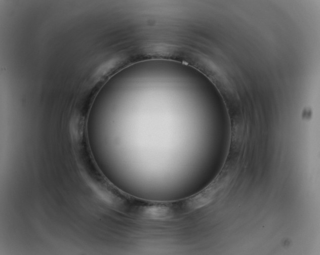X0000102290168200807251430