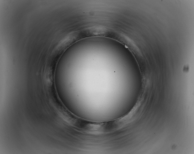 X0000102290170200807251430
