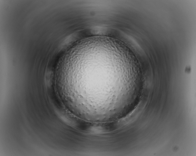 X0000102290171200807251430