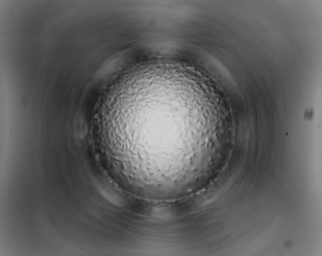 X0000102290173200807251430