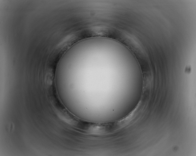 X0000102290174200807251430