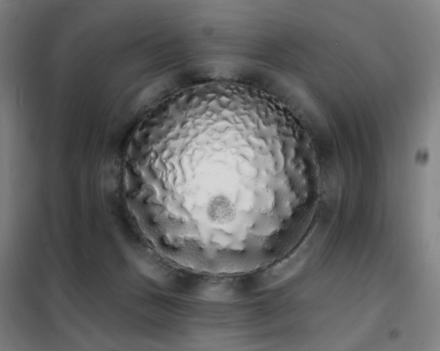 X0000102290175200807251430