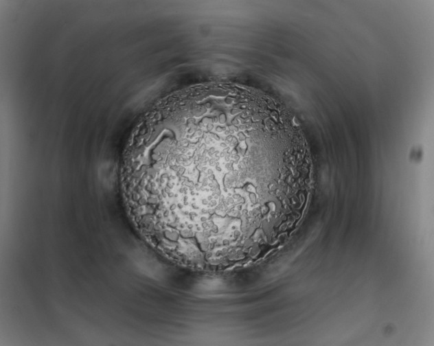 X0000102290177200807251430
