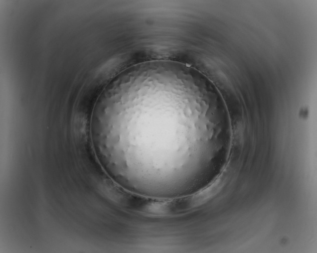 X0000102290178200807251430