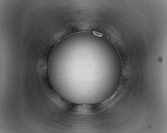 X0000102290179200807251430