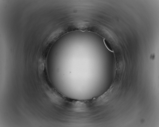 X0000102290180200807251430