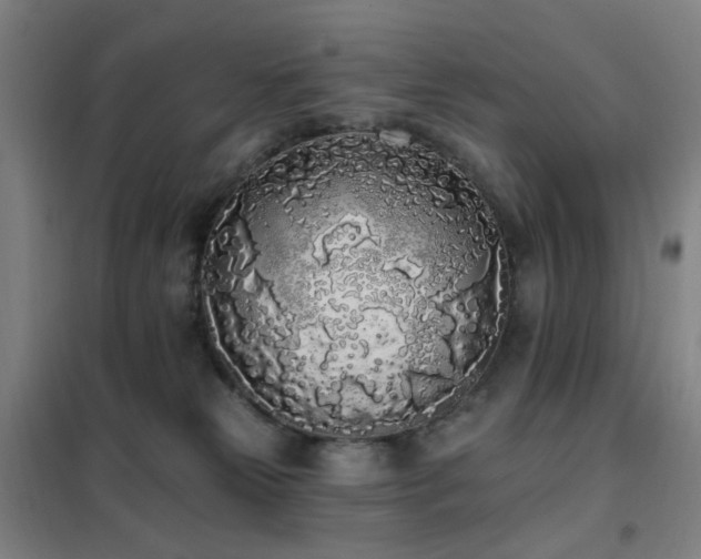 X0000102290181200807251430