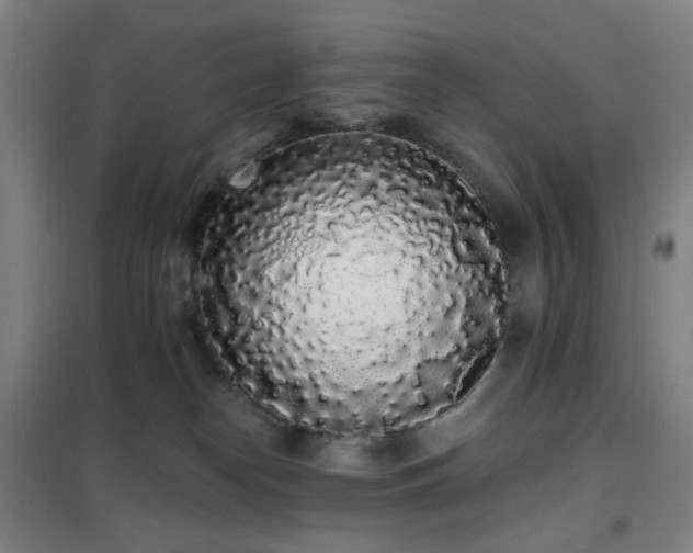 X0000102290182200807251430