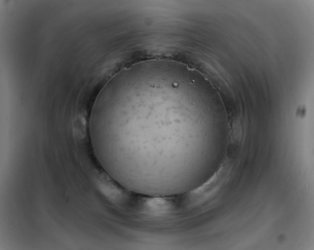 X0000102290183200807251430