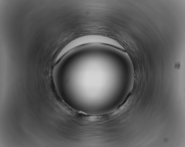 X0000102290184200807251430