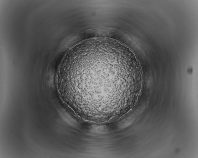 X0000102290185200807251430