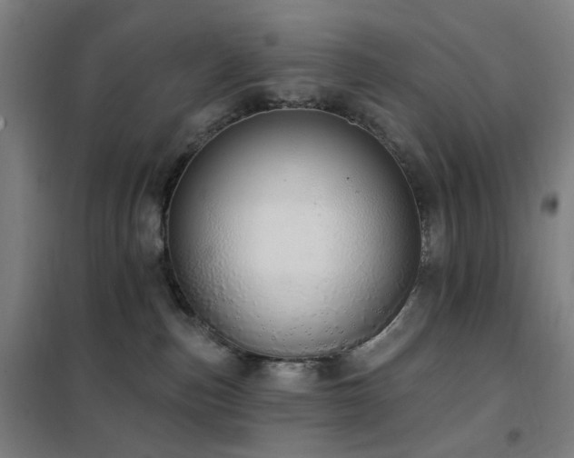 X0000102290187200807251430