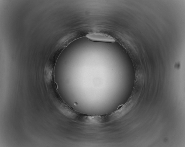 X0000102290188200807251430