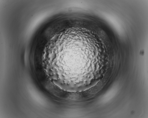 X0000102290189200807251430