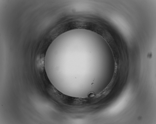 X0000102290190200807251430