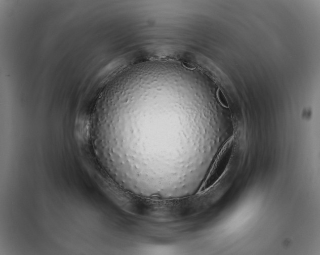 X0000102290191200807251430