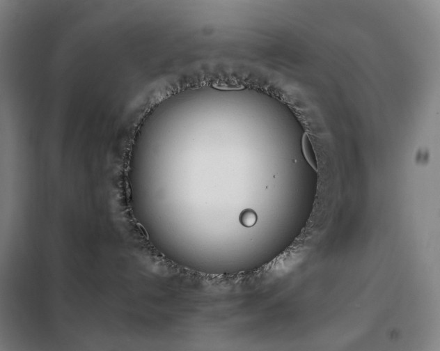 X0000102290192200807251430