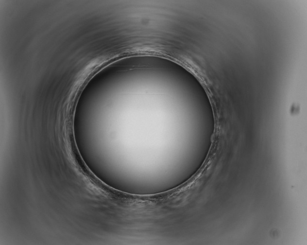 X0000102290193200807251429