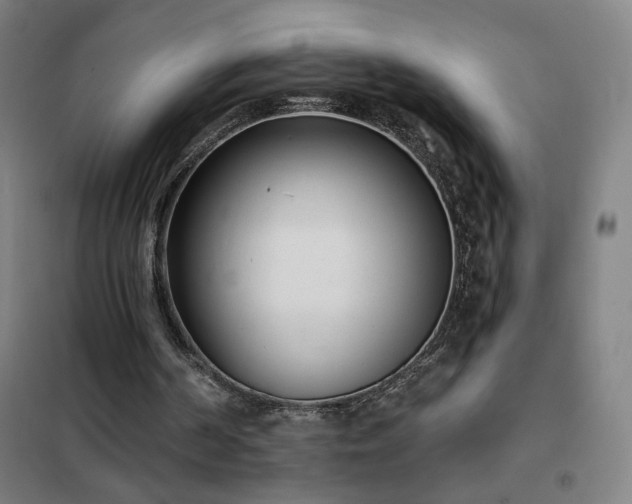 X0000102290194200807251429