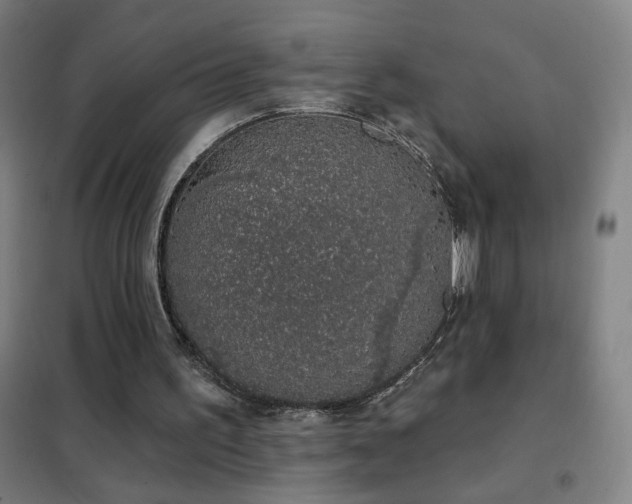 X0000102290195200807251429