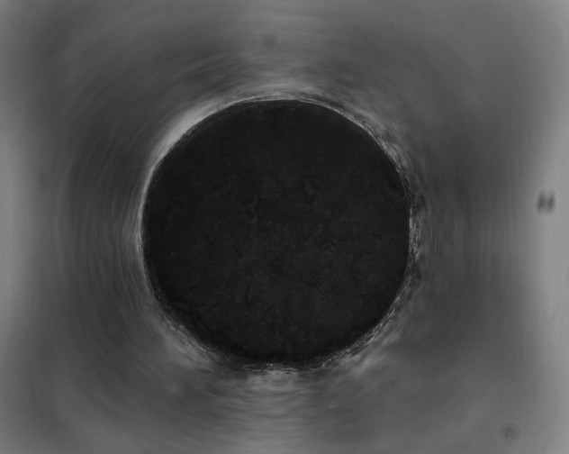 X0000102290196200807251429