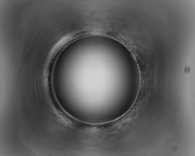 X0000102290197200807251429