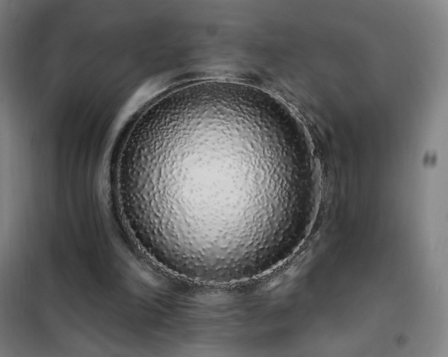 X0000102290198200807251429