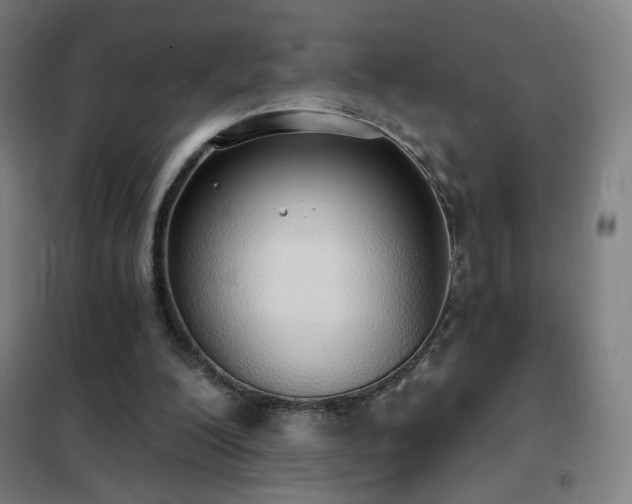X0000102290200200807251429