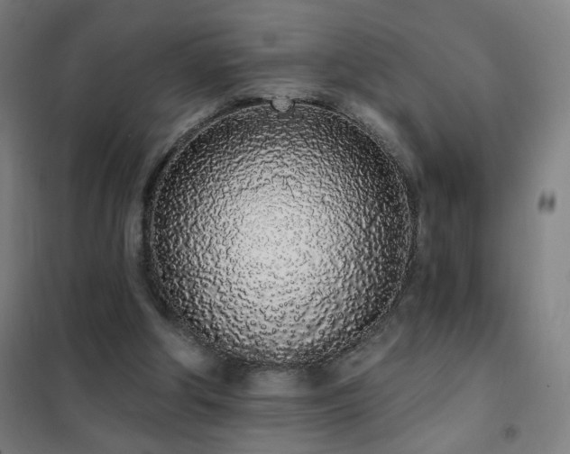 X0000102290202200807251429