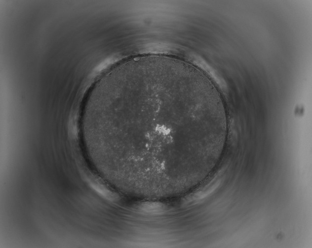 X0000102290203200807251429