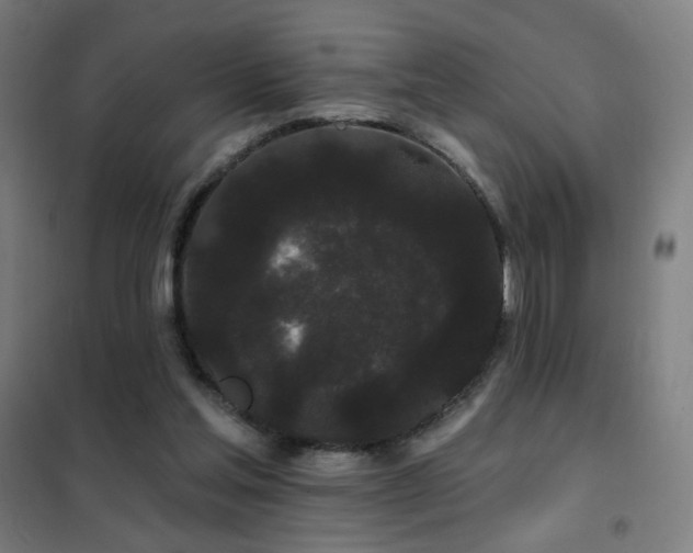 X0000102290205200807251429