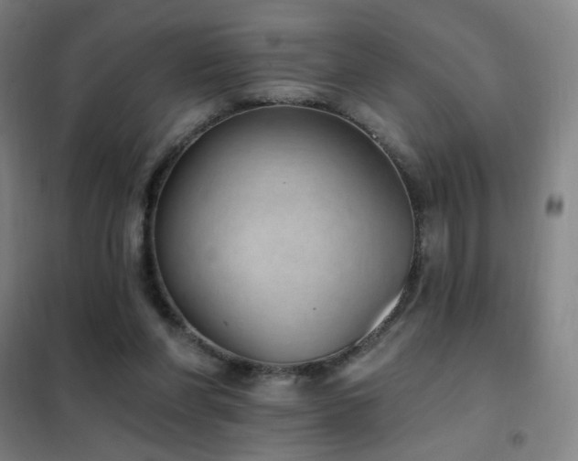 X0000102290206200807251429