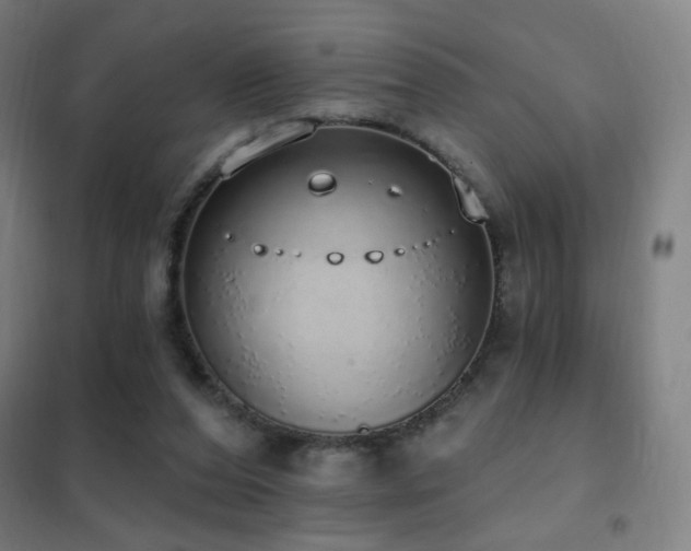 X0000102290208200807251429