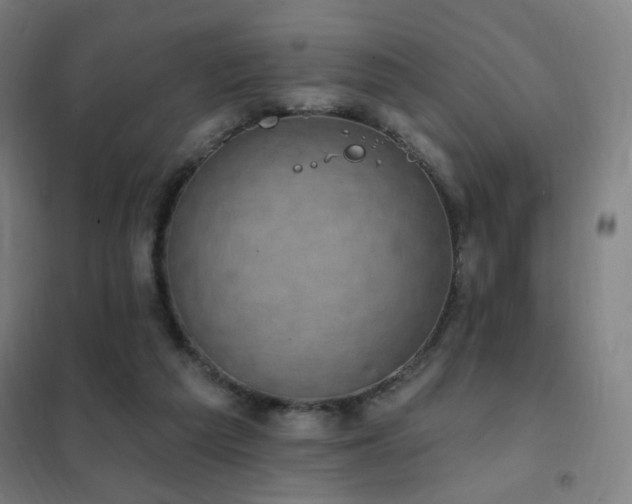 X0000102290209200807251429