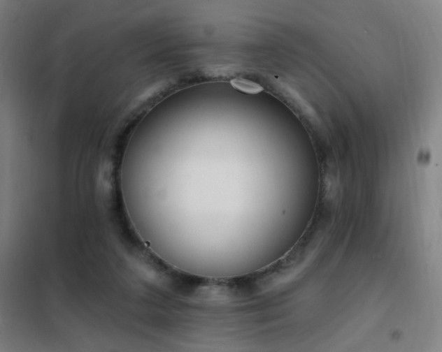 X0000102290211200807251429