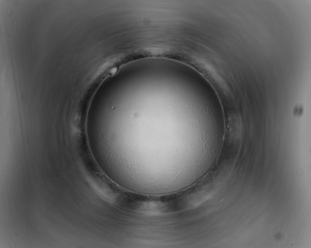 X0000102290212200807251429