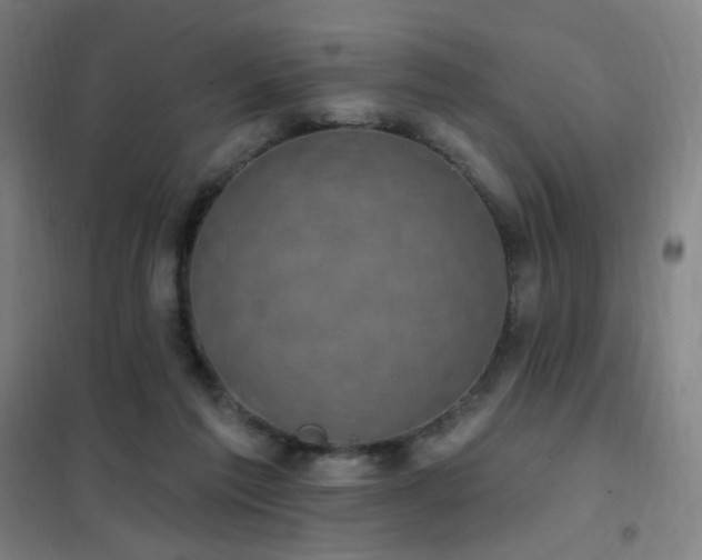 X0000102290213200807251429