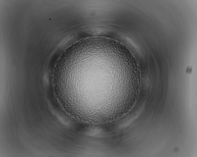 X0000102290214200807251429