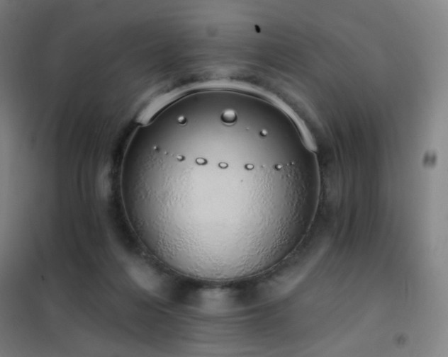 X0000102290216200807251429