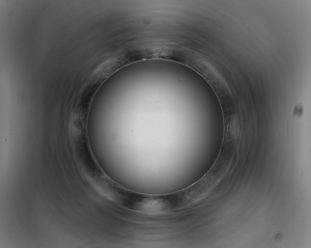 X0000102290218200807251429