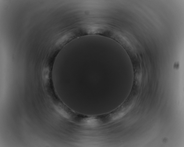 X0000102290219200807251429