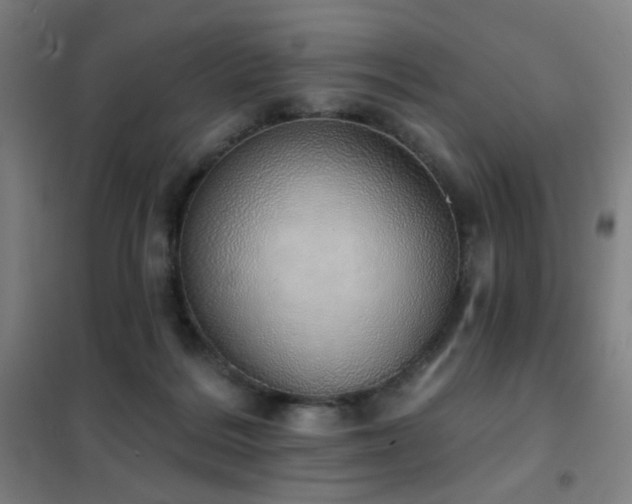 X0000102290220200807251429