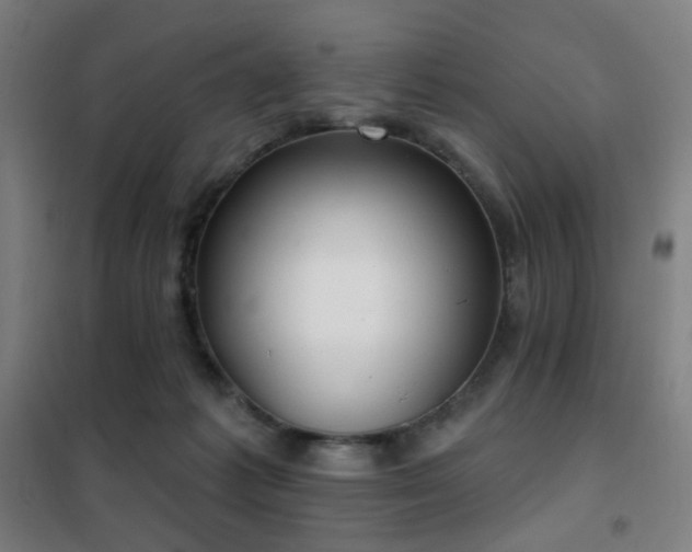 X0000102290221200807251429