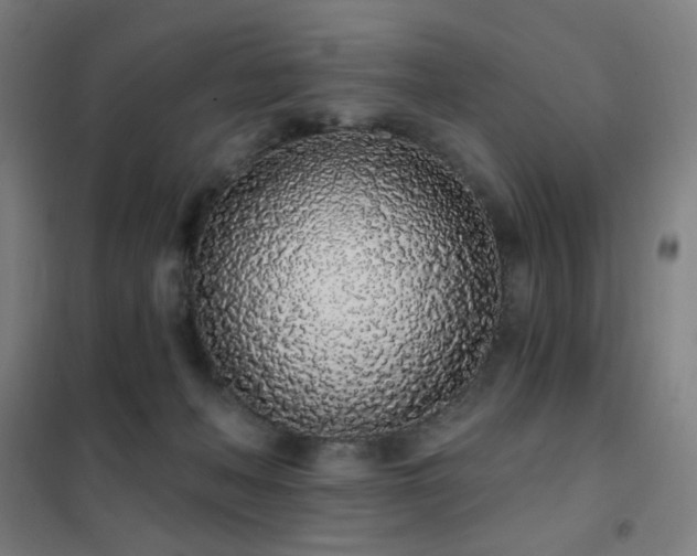 X0000102290222200807251429