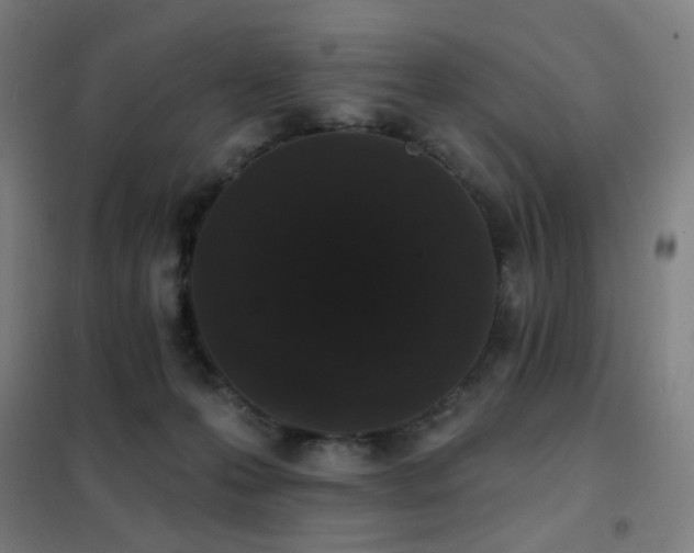 X0000102290223200807251429