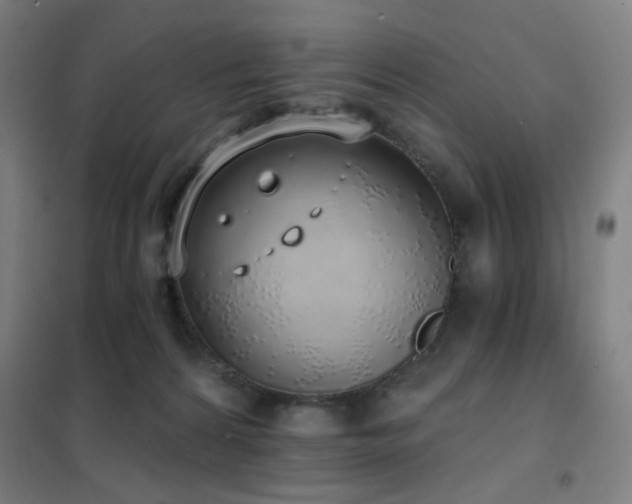 X0000102290224200807251429