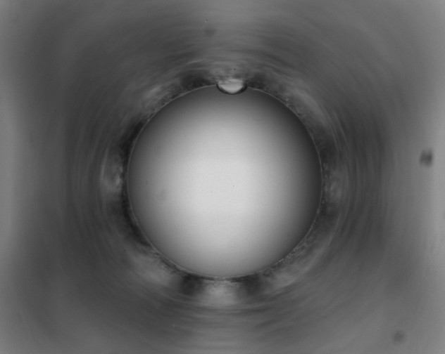 X0000102290226200807251428