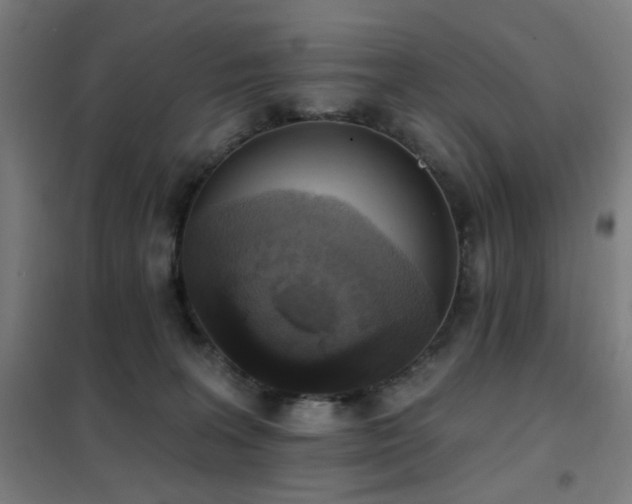 X0000102290227200807251428