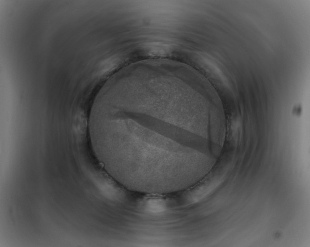 X0000102290228200807251428