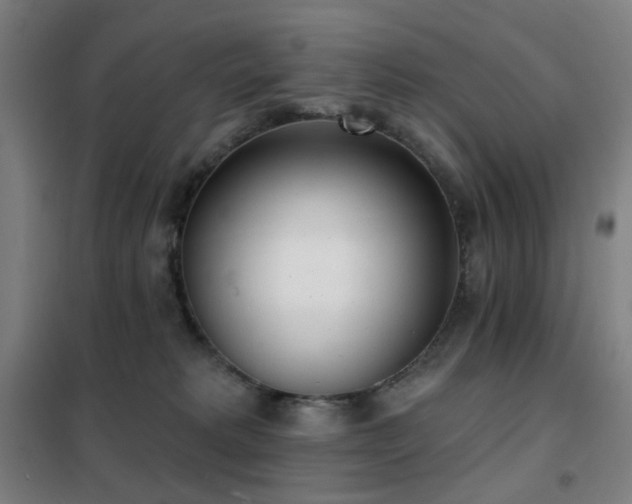 X0000102290229200807251428